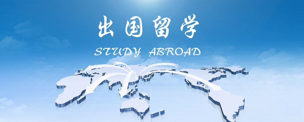 荷兰留学为什么越来越受欢迎？国际化只是其中一个原因